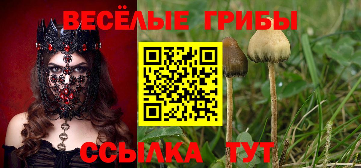 Псилоцибиновые грибы мухоморы  Вход с VPN  Галлюциногенные грибы GOLDEN TEACHER  Ульяновск 